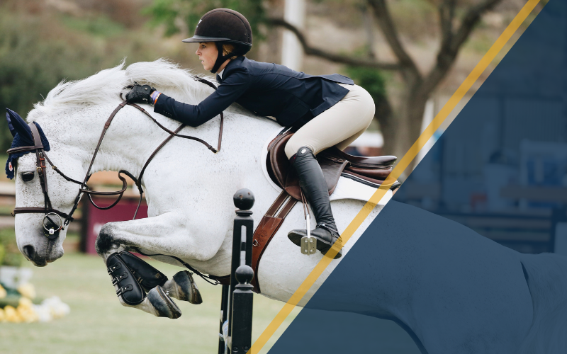 Narrow Elastic Fabric in Equestrian Equipment Design: Challenges and Solutions